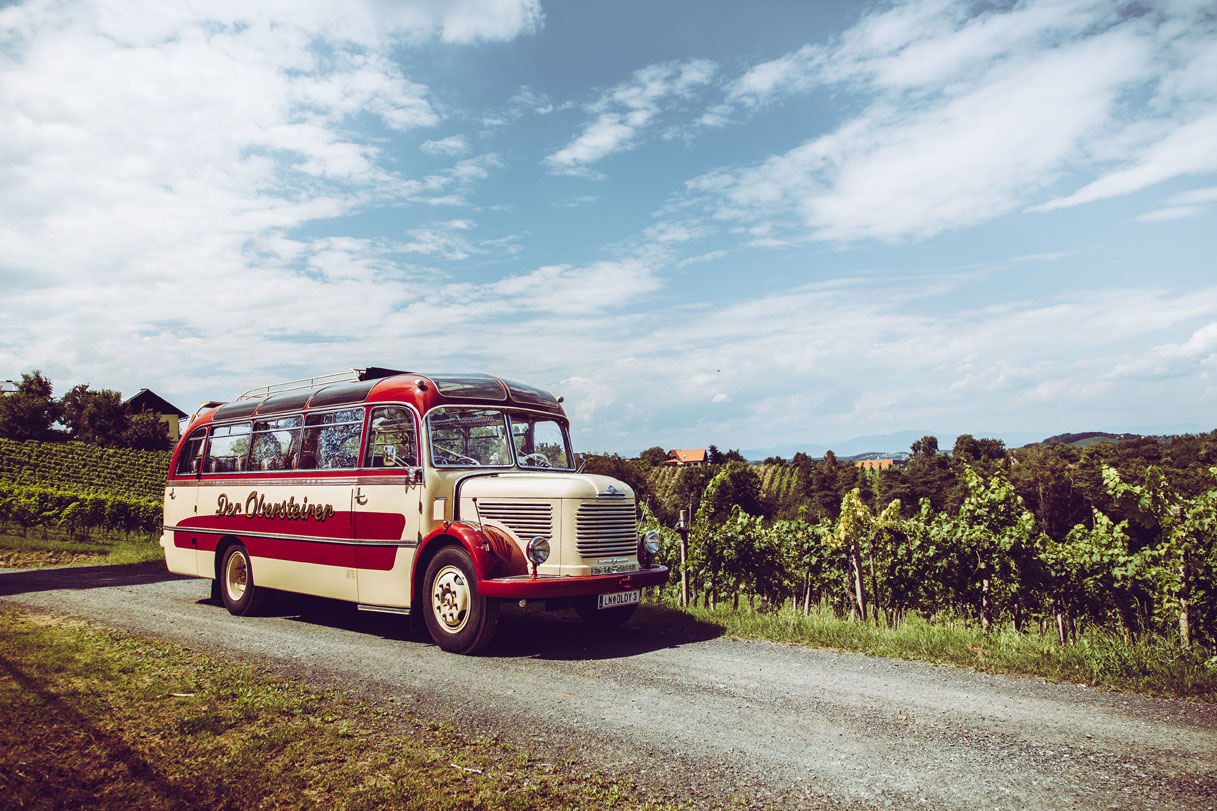 Zottler Obersteirer  1